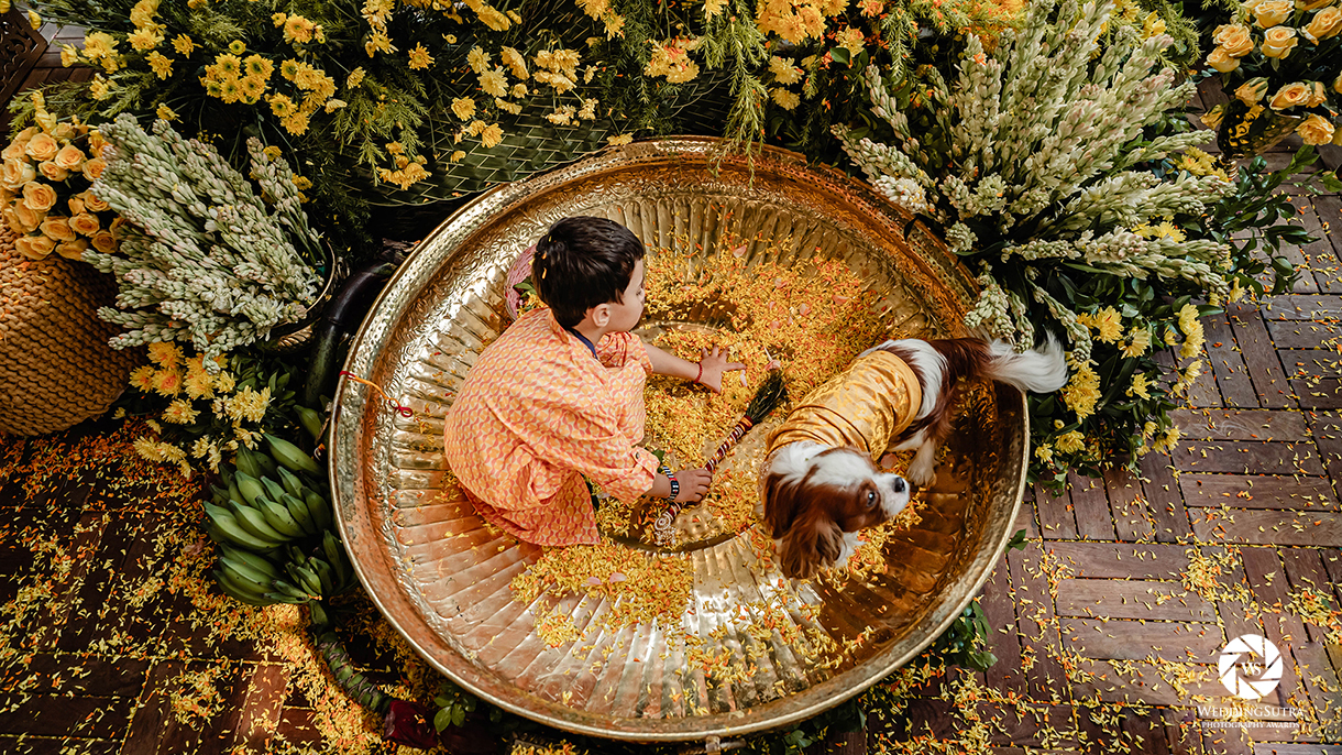 Photography Awards 2025 - Nominations for Wedding Photographer